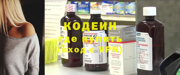 ECSTASY Алзамай