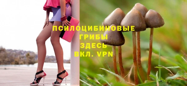 ECSTASY Алзамай