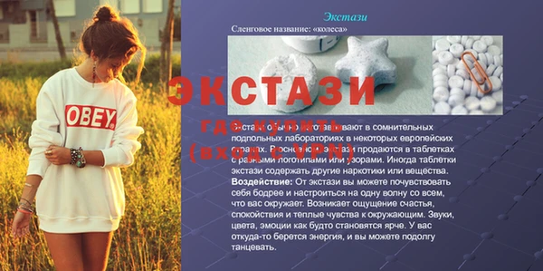 ECSTASY Алзамай