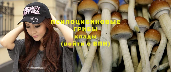 дживик Осинники